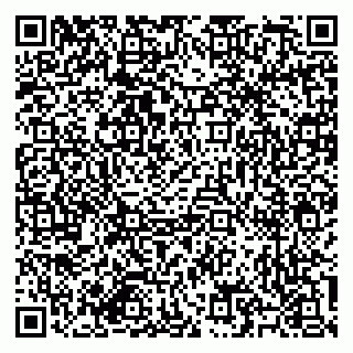 vCard 79585713529