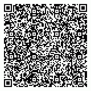 vCard 79585713530