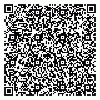 vCard 79585713531