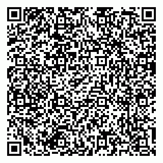 vCard 79585713532
