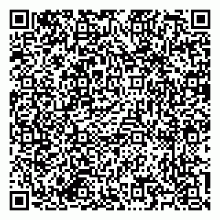 vCard 79585713533