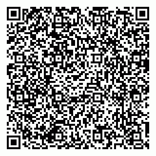 vCard 79585713537