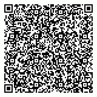 vCard 79585713545