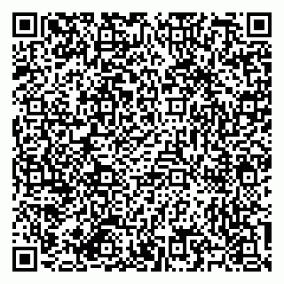 vCard 79585713546