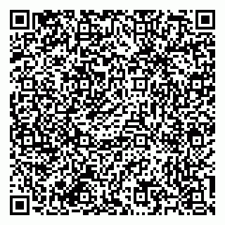 vCard 79585713548