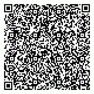 vCard 79585713571