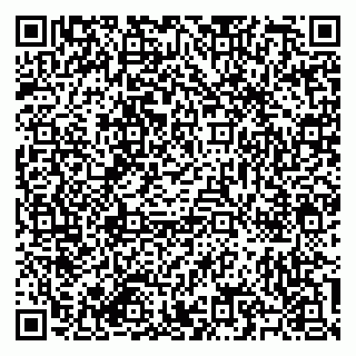 vCard 79585713587