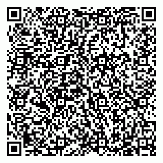 vCard 79585713629