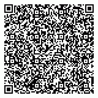 vCard 79585713653