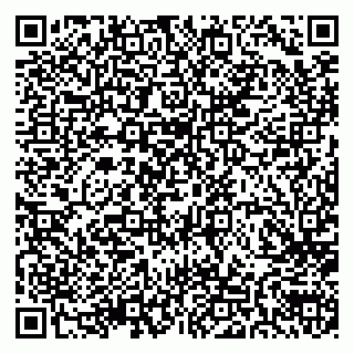 vCard 79586800003