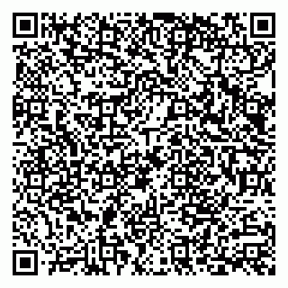 vCard 79586800138