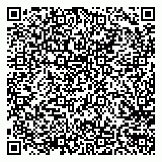 vCard 79586800294