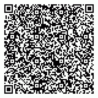 vCard 79586800393