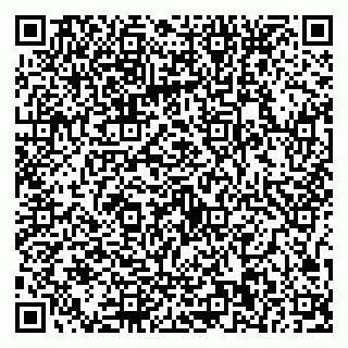 vCard 79587030004