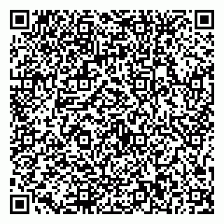 vCard 79587030013