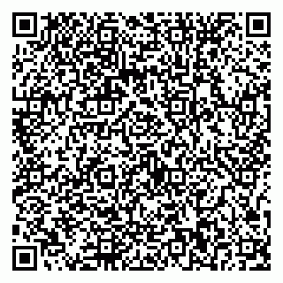 vCard 79587030041