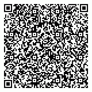 vCard 79587030099
