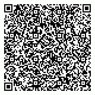 vCard 79587030106