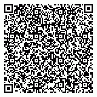 vCard 79587030119