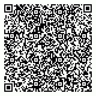 vCard 79587030129