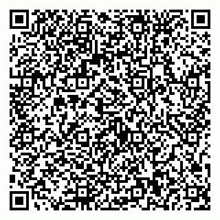 vCard 79587030132
