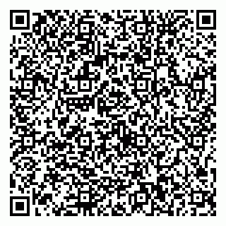 vCard 79587030133