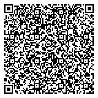 vCard 79587030173