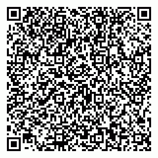 vCard 79587030199