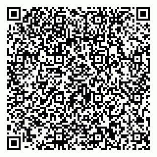 vCard 79587030203