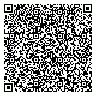 vCard 79587030249