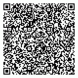 vCard 79587030259