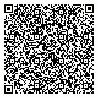 vCard 79587030290