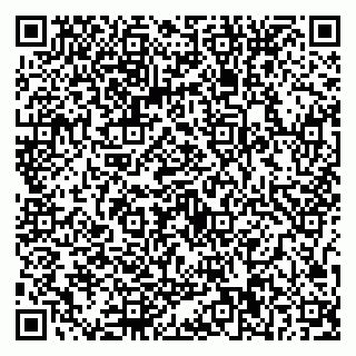 vCard 79587030305