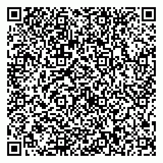 vCard 79587030313