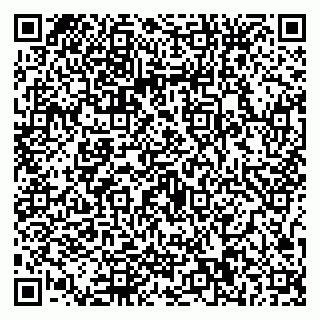 vCard 79587030317