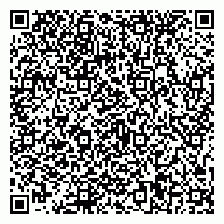 vCard 79587030329