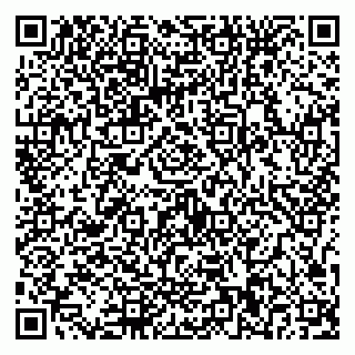 vCard 79587030331