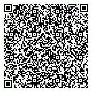 vCard 79587030384