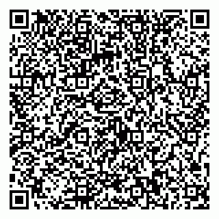 vCard 79587030387
