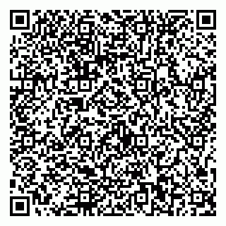 vCard 79587030389