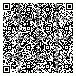 vCard 79587030390