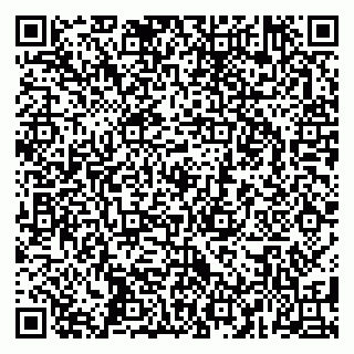 vCard 79587920013