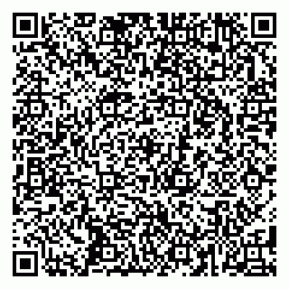 vCard 79587920131