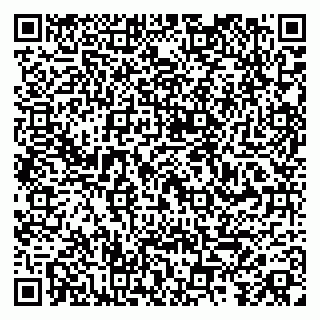 vCard 79587920173