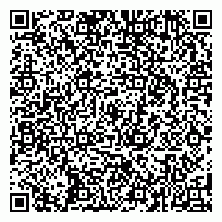 vCard 79587920271