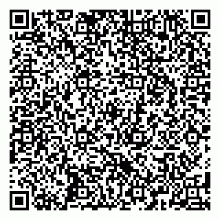 vCard 79587920285