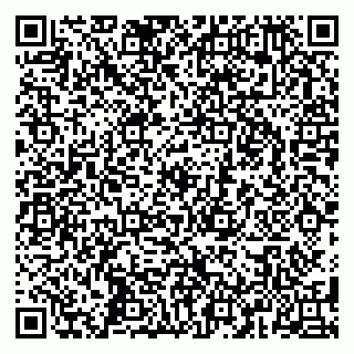 vCard 79587920300