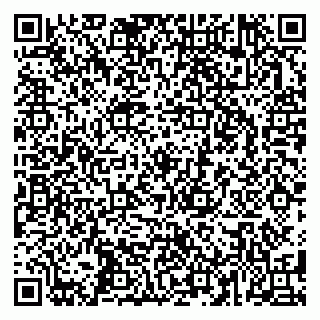 vCard 79587920333