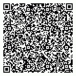 vCard 79587920334