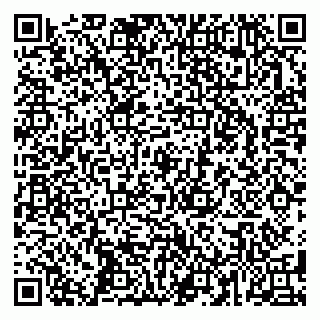 vCard 79587920335